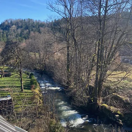 Le Clos Du Moulin - Loft Aux Pieds Des Vosges Lägenhet