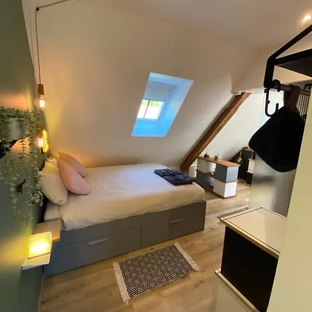 Le Clos Du Moulin - Loft Aux Pieds Des Vosges Lägenhet Sewen