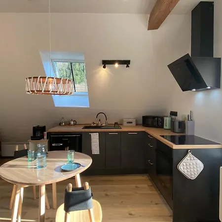 Lägenhet Le Clos Du Moulin - Loft Aux Pieds Des Vosges
