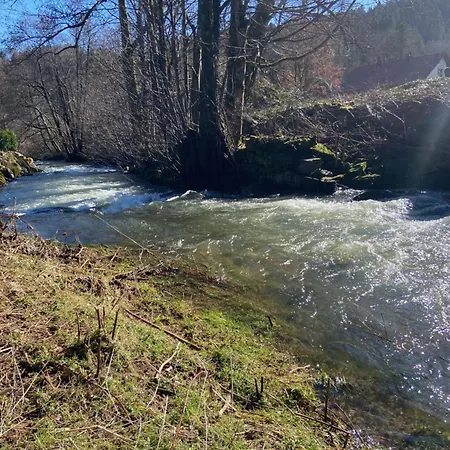 Le Clos Du Moulin - Loft Aux Pieds Des Vosges *