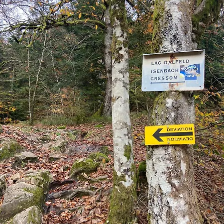 Le Clos Du Moulin - Loft Aux Pieds Des Vosges * Sewen